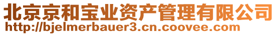 北京京和寶業(yè)資產(chǎn)管理有限公司