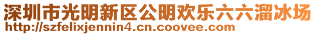 深圳市光明新區(qū)公明歡樂六六溜冰場