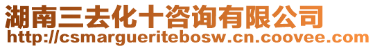 湖南三去化十咨詢有限公司