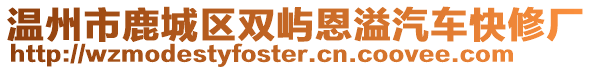 溫州市鹿城區(qū)雙嶼恩溢汽車快修廠