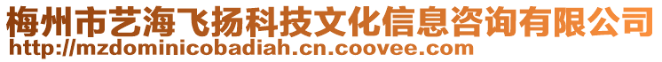 梅州市藝海飛揚(yáng)科技文化信息咨詢有限公司