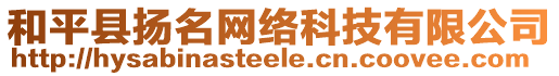 和平縣揚(yáng)名網(wǎng)絡(luò)科技有限公司