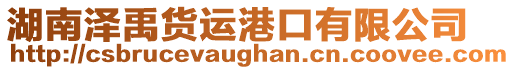 湖南澤禹貨運港口有限公司