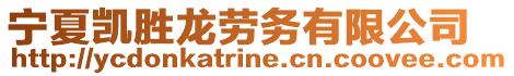 寧夏凱勝龍勞務(wù)有限公司