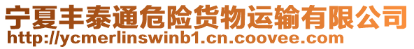 寧夏豐泰通危險貨物運輸有限公司
