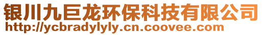 銀川九巨龍環(huán)保科技有限公司