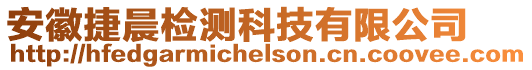 安徽捷晨檢測(cè)科技有限公司