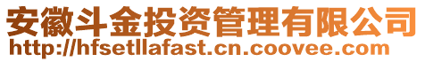 安徽斗金投資管理有限公司