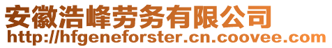 安徽浩峰勞務(wù)有限公司