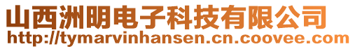 山西洲明電子科技有限公司