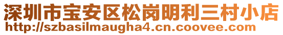 深圳市寶安區(qū)松崗明利三村小店
