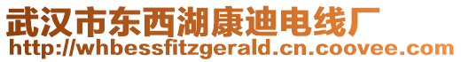 武漢市東西湖康迪電線廠