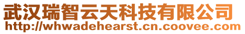 武漢瑞智云天科技有限公司