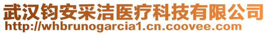 武漢鈞安采潔醫(yī)療科技有限公司