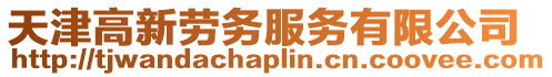 天津高新勞務(wù)服務(wù)有限公司