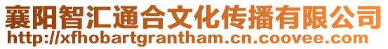 襄陽智匯通合文化傳播有限公司