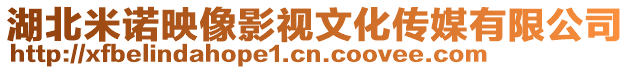 湖北米諾映像影視文化傳媒有限公司