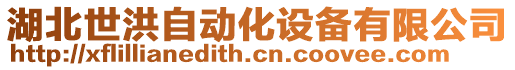 湖北世洪自動化設備有限公司