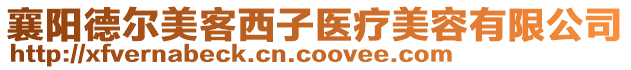 襄陽德爾美客西子醫療美容有限公司