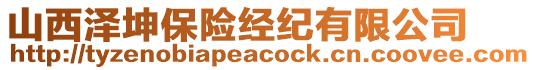 山西澤坤保險經紀有限公司