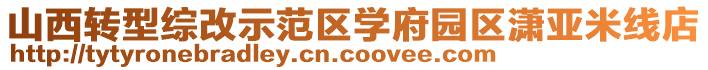 山西轉型綜改示范區學府園區瀟亞米線店
