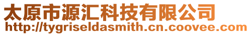 太原市源匯科技有限公司
