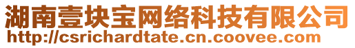 湖南壹塊寶網絡科技有限公司