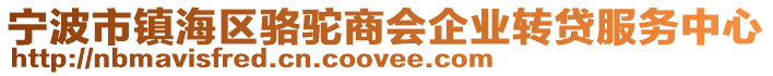 寧波市鎮海區駱駝商會企業轉貸服務中心