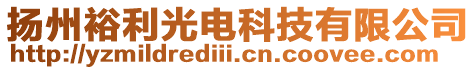 揚(yáng)州裕利光電科技有限公司