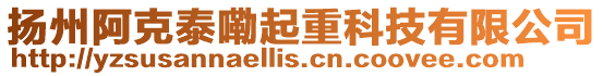 揚州阿克泰嘞起重科技有限公司