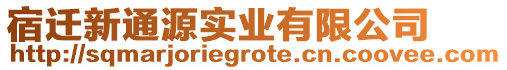 宿遷新通源實業有限公司