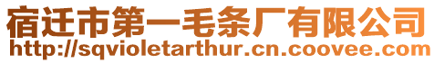 宿遷市第一毛條廠有限公司