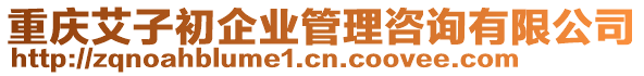 重慶艾子初企業管理咨詢有限公司