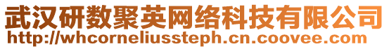 武漢研數聚英網絡科技有限公司
