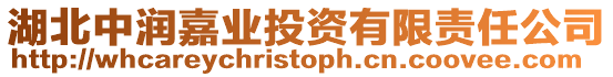 湖北中潤嘉業投資有限責任公司