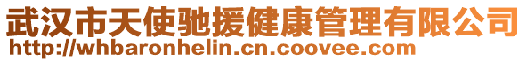 武漢市天使馳援健康管理有限公司