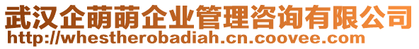 武漢企萌萌企業管理咨詢有限公司
