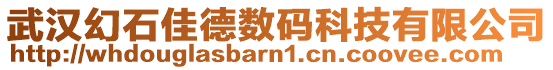 武漢幻石佳德數碼科技有限公司