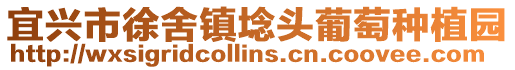 宜興市徐舍鎮埝頭葡萄種植園