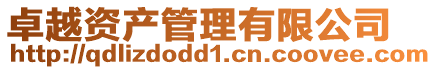 卓越資產管理有限公司