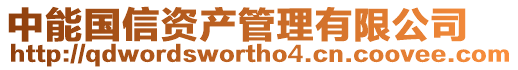 中能國信資產管理有限公司