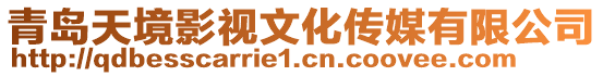 青島天境影視文化傳媒有限公司