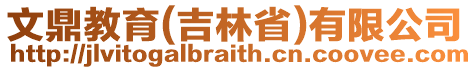 文鼎教育(吉林省)有限公司