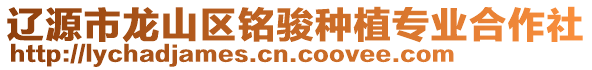 遼源市龍山區(qū)銘駿種植專業(yè)合作社