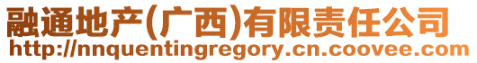 融通地產(廣西)有限責任公司