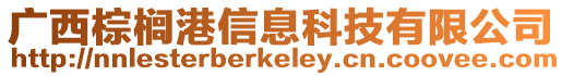 廣西棕櫚港信息科技有限公司