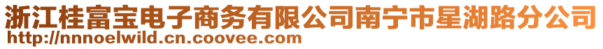 浙江桂富寶電子商務有限公司南寧市星湖路分公司