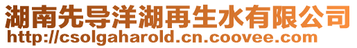 湖南先導洋湖再生水有限公司