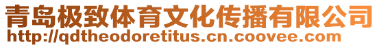 青島極致體育文化傳播有限公司
