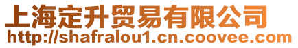上海定升貿易有限公司